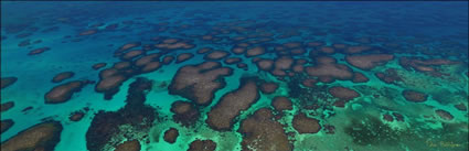 Abrolhos - WA H (PBH3 00 4789)