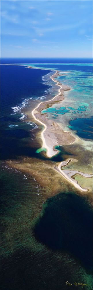 Abrolhos - WA (PBH3 00 4737)