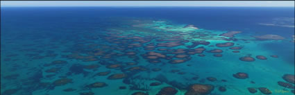 Abrolhos - WA (PBH3 00 4784)