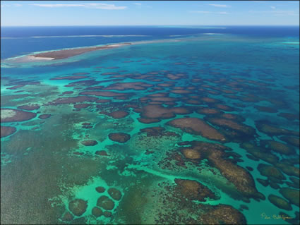 Abrolhos - WA (PBH3 00 4786)