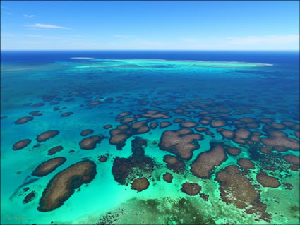 Abrolhos - WA (PBH3 00 4790)