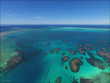 Abrolhos - WA (PBH3 00 4791)