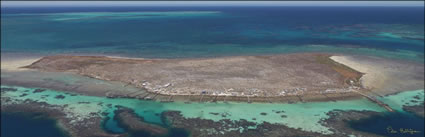 Abrolhos - WA (PBH3 00 4793)