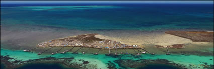 Abrolhos - WA (PBH3 00 4794)