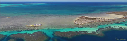 Abrolhos - WA (PBH3 00 4795)