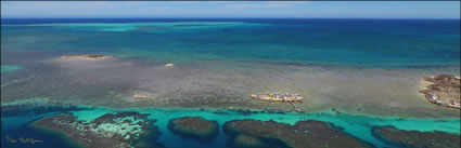 Abrolhos - WA (PBH3 00 4796)