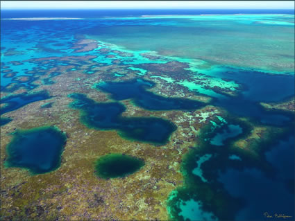 Abrolhos - WA (PBH3 00 4797)