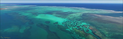 Abrolhos - WA (PBH3 00 4804)