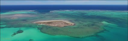 Abrolhos - WA (PBH3 00 4807)