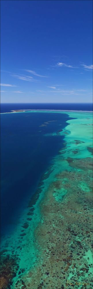 Abrolhos - WA (PBH3 00 4813)