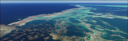 Abrolhos - WA (PBH3 00 4818)