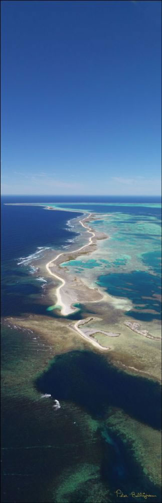 Abrolhos - WA (PBH3 00 4820)