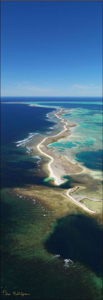 Abrolhos - WA (PBH3 00 4821)