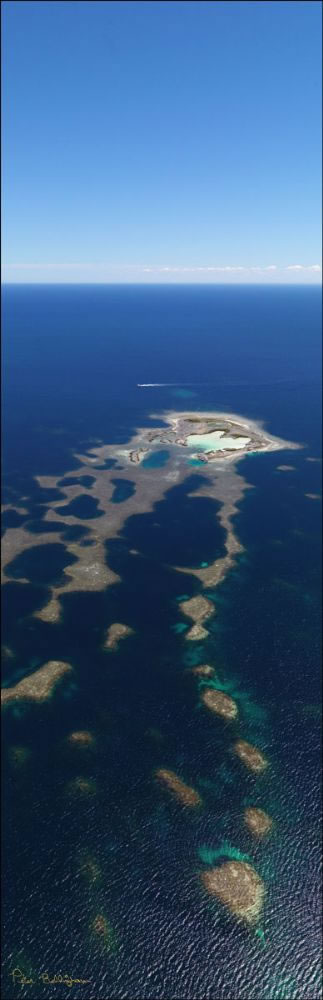 Abrolhos - WA (PBH3 00 4826)