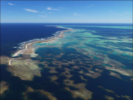 Abrolhos - WA SQ (PBH3 00 4732)