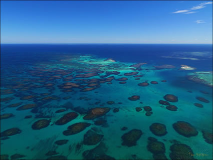 Abrolhos - WA SQ (PBH3 00 4783)