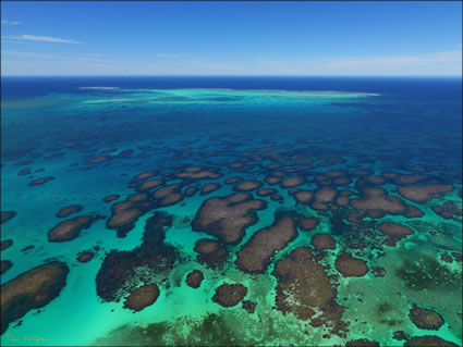 Abrolhos - WA SQ (PBH3 00 4789)