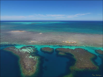 Abrolhos - WA SQ (PBH3 00 4796)