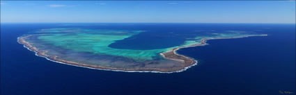 Abrolhos Islands - WA (PBH3 00 4717)