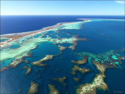 Abrolhos Islands - WA (PBH3 00 4722)