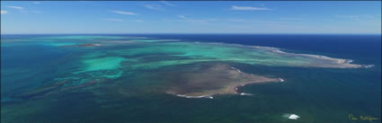 Abrolhos Islands - WA (PBH3 00 4802)