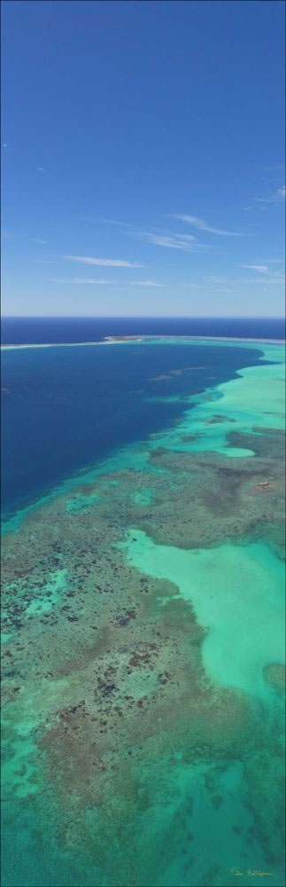 Abrolhos Islands - WA (PBH3 00 4812)