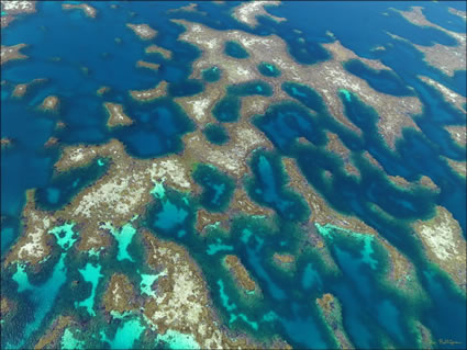 Abrolhos Islands - WA SQ (PBH3 00 4723)