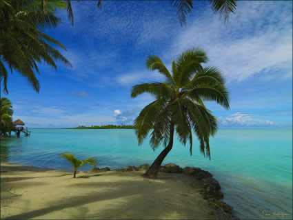 Aitutaki (PBH3 00 1276)