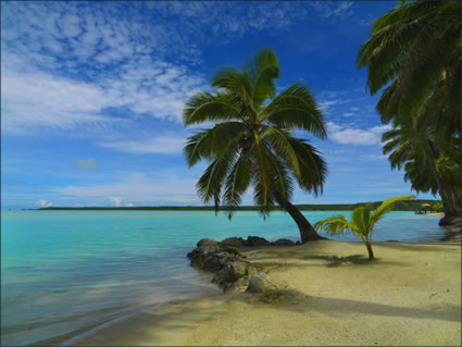 Aitutaki (PBH3 00 1277)