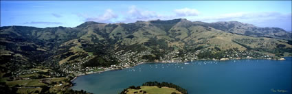 Akaroa at Angle - NZ (PB00 2621)