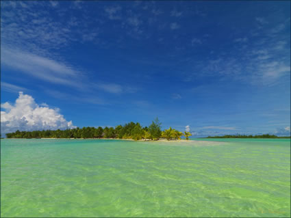 Akitua Island - Aitutaki - SQ (PBH3 00 1303)