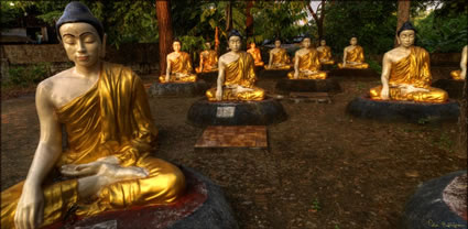 Anadar Pagoda Buddha Park T (PBH3 00 14591)