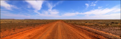 Arckaringa Station - SA (PBH3 00  29366)