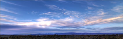 Arid Lands - Port Augusta - SA (PBH3 00 21678)