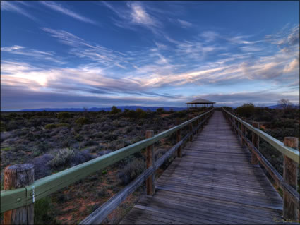 Arid Lands - Port Augusta - SA SQ (PBH3 00 21672)