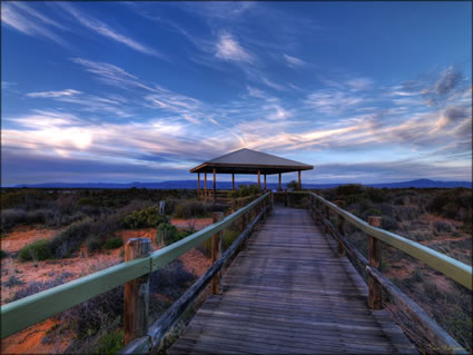 Arid Lands - Port Augusta - SA SQ (PBH3 00 21675)