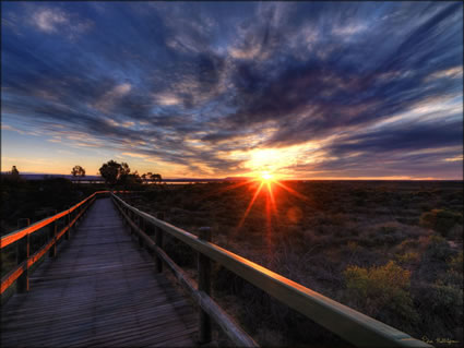 Arid Lands - Port Augusta - SA SQ (PBH3 00 21683)