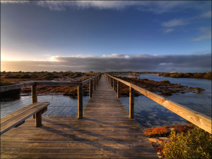 Arno Bay Boardwalk - SA SQ (PBH3 00 22581)