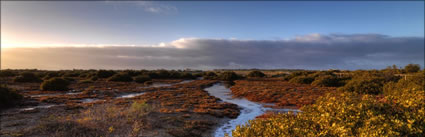 Arno Bay Estuary - SA (PBH3 00 22578)