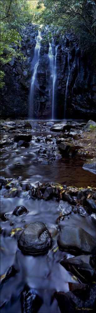 Atherton Waterfall Vertical - QLD (PB00 2345)