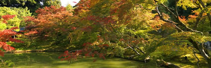 Autumn in Japan H (PBH3 00 0020)