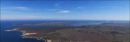 Baird Bay - SA (PBH3 00 20716)