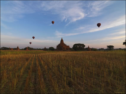 Balloons over Bagan SQ (PBH3 00 15054)
