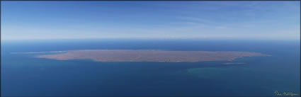 Barrow Island - WA (PBH3 00 9517)