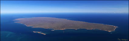 Barrow Island - WA (PBH3 00 9518)