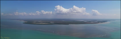 Bathurst Island - NT (PBH3 00 12445)