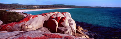 Bay of Fires 14 - TAS (PB00 4372)