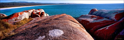 Bay of Fires 15  - TAS (PB00 4373)