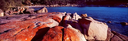 Bay of Fires 18 - TAS (PB00 4364)