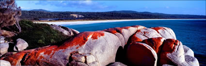 Bay of Fires 6 - TAS (PB00 4384)